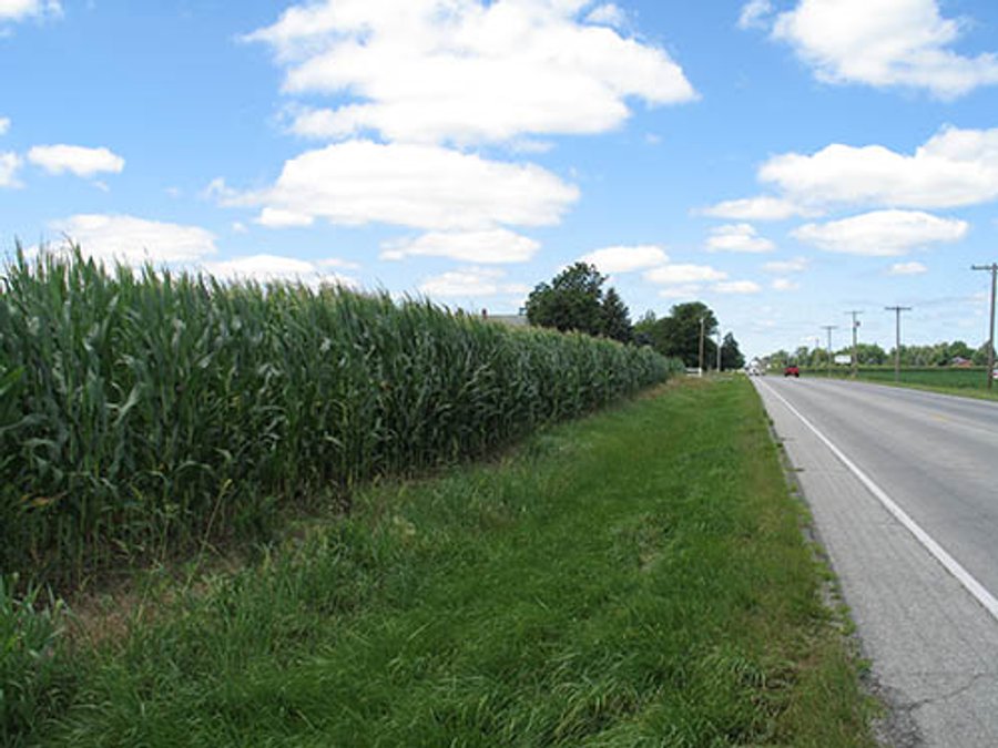 180+/- Acres offered in 2 Tracts Land Auction, Highly Productive Tillable Cropland